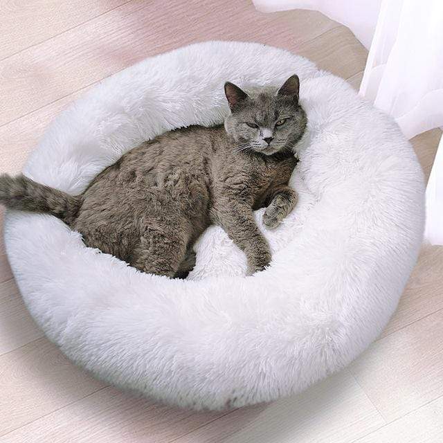 CALMING PET BED -- FREE SHIPPING!!! - PlanetSupermarket